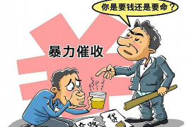 枫软催收系统网站：智能化催收解决方案的引领者